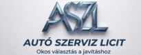 autoszervizlicit.hu